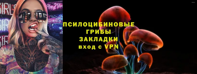 купить закладку  Верхняя Салда  Галлюциногенные грибы Cubensis 